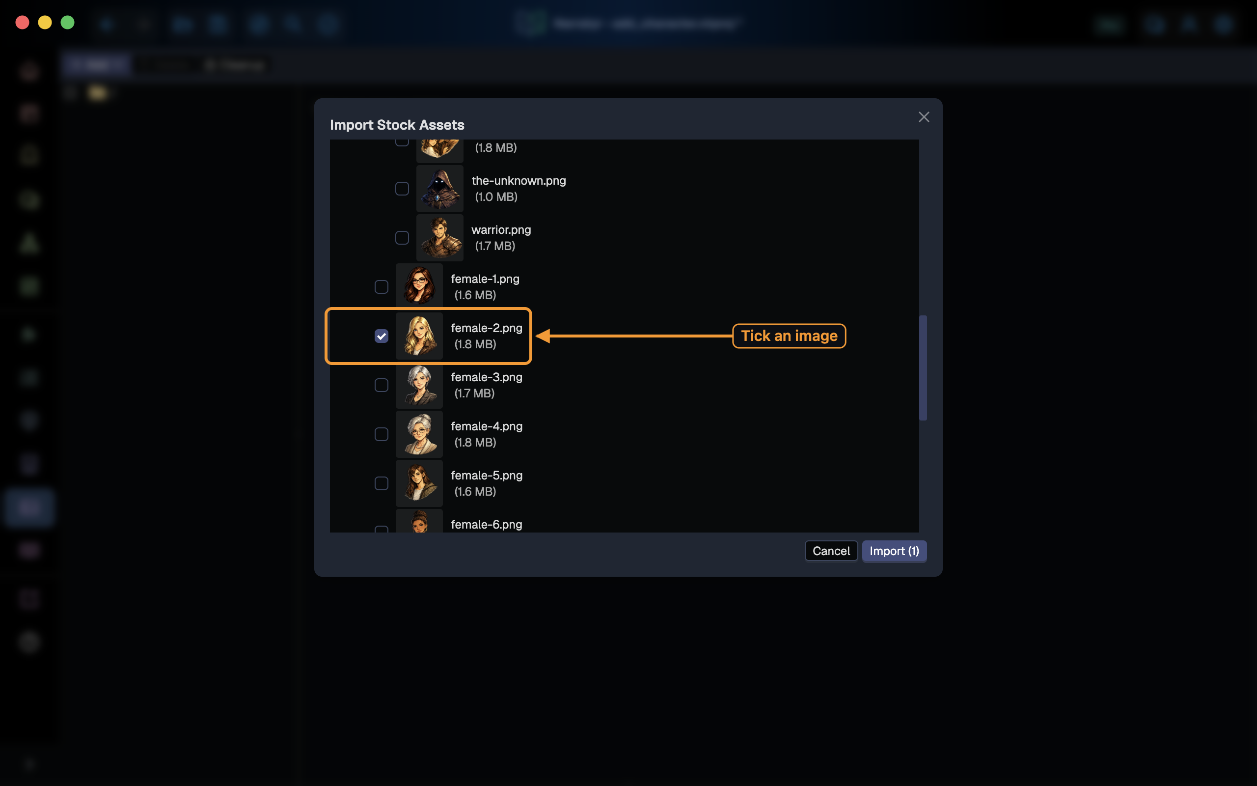 The stock asset picker with an image selected